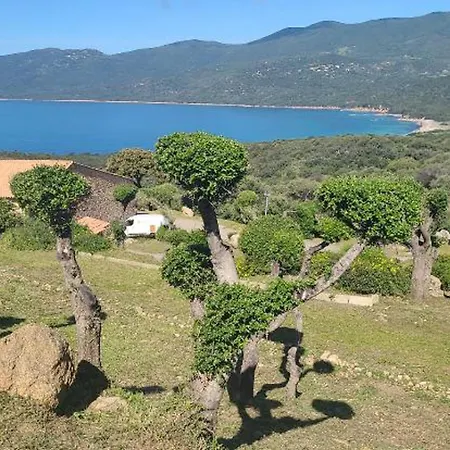 Appartement Serra-di-ferro, 2 Pieces, 4 Personnes - Fr-1-665-31 Serra-di-Ferro (Corsica)